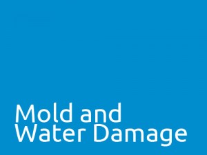 Mold and Water Damage in Homes – Windsor Essex Real Estate