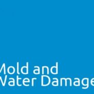 Mold and Water Damage in Homes – Windsor Essex Real Estate